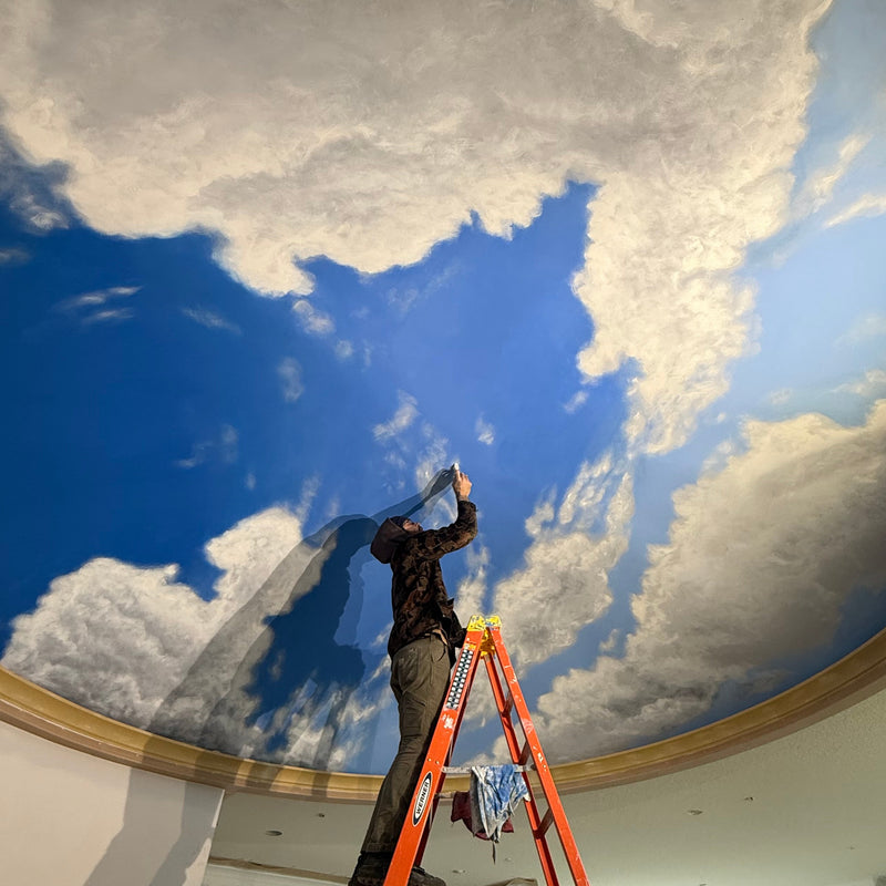 Cloud Ceiling Mural by Danny Stephens